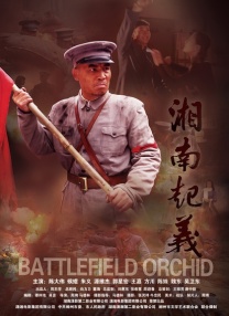 久久久久久免费精品视频